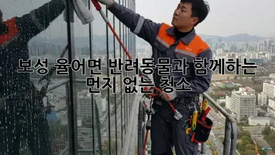 보성 율어면 반려동물과 함께하는 먼지 없는 청소